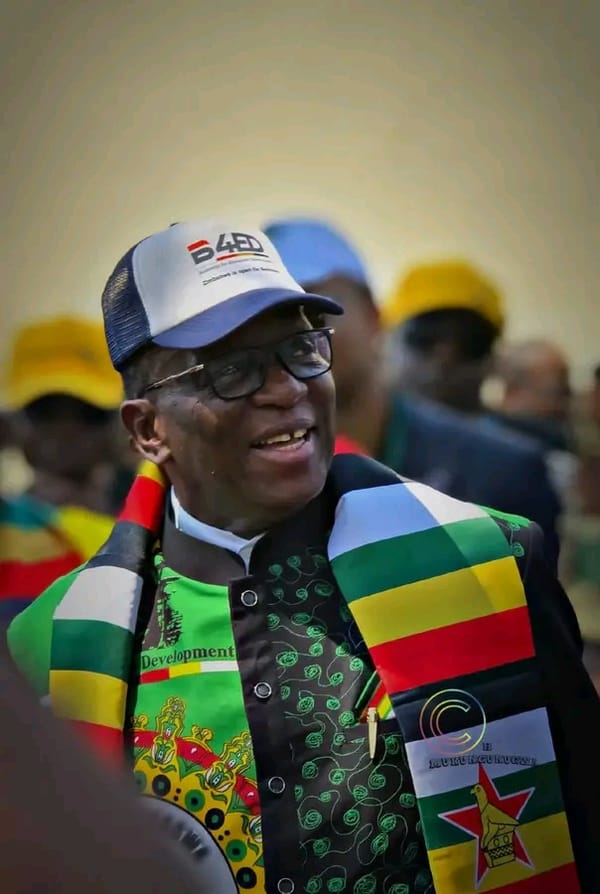 Mnangagwa rejects ZANU PF proposal to extend term limit